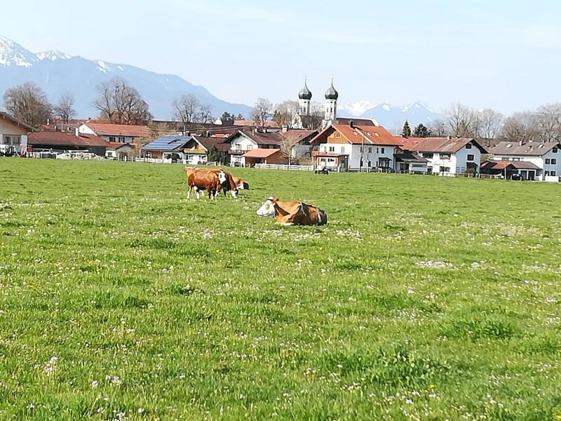 Apartment Moosblick Zwischen Bergen Und See Benediktbeuern Luaran gambar